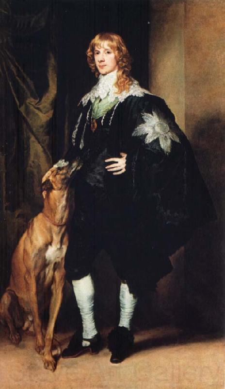 Dyck, Anthony van Portrait of James Stuart,Duke of Richmond and Fourth Duke of Lennox Spain oil painting art